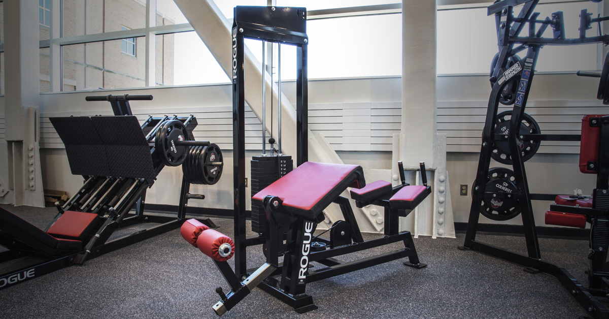 Prone Leg Curl Rogue Canada
