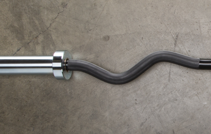 ウエイトトレーニング ROGUE CURL BAR - CERAKOTE ウエイト