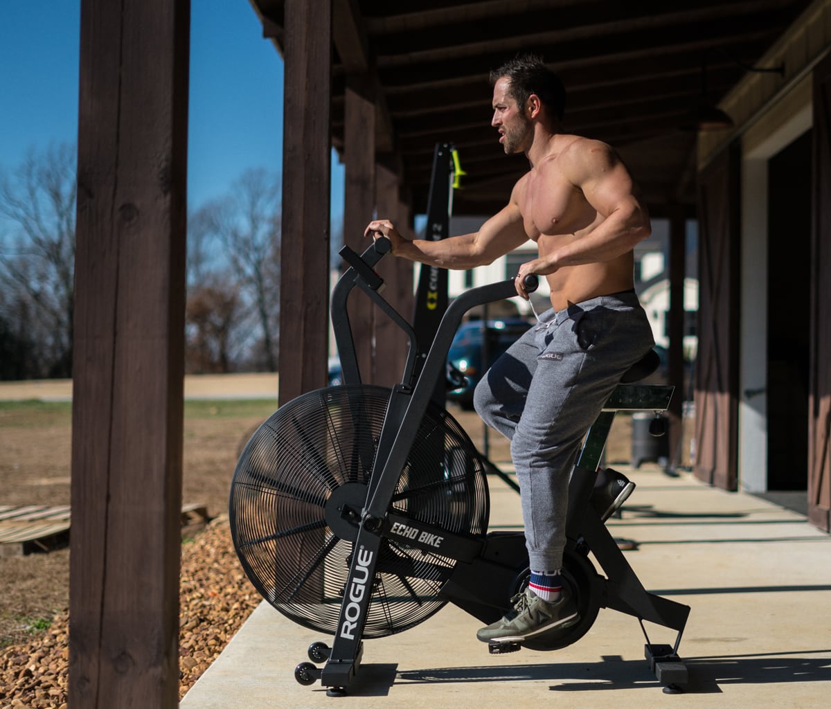 rogue echo bike vs rower