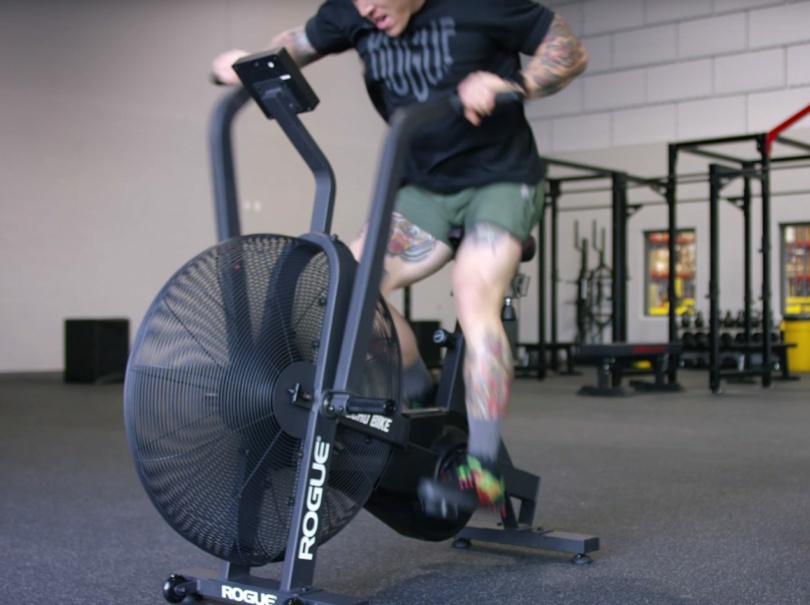 rogue echo bike black friday