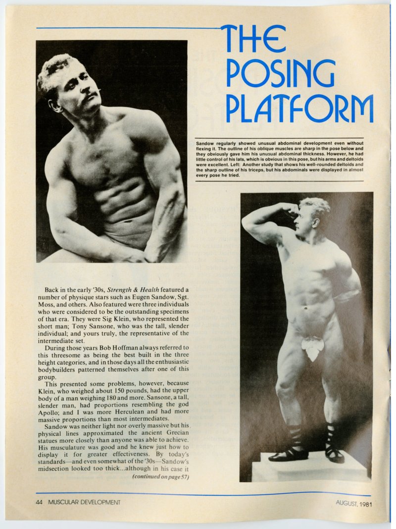 The Posing Platform continued | Rogue Canada